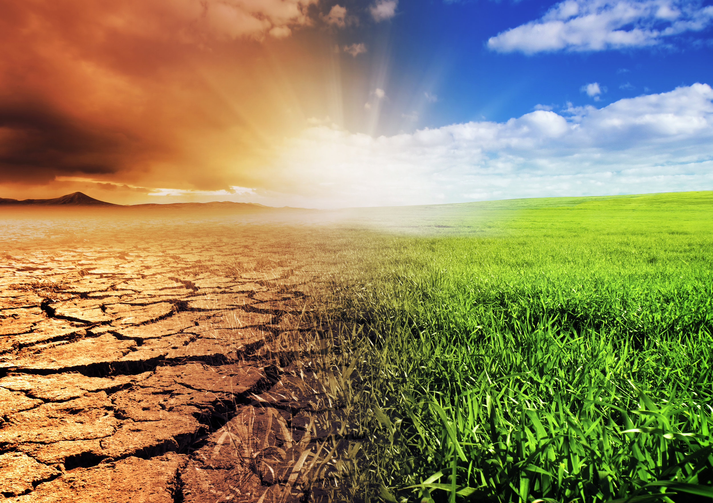 Climate change: The youth’s battle to secure their future